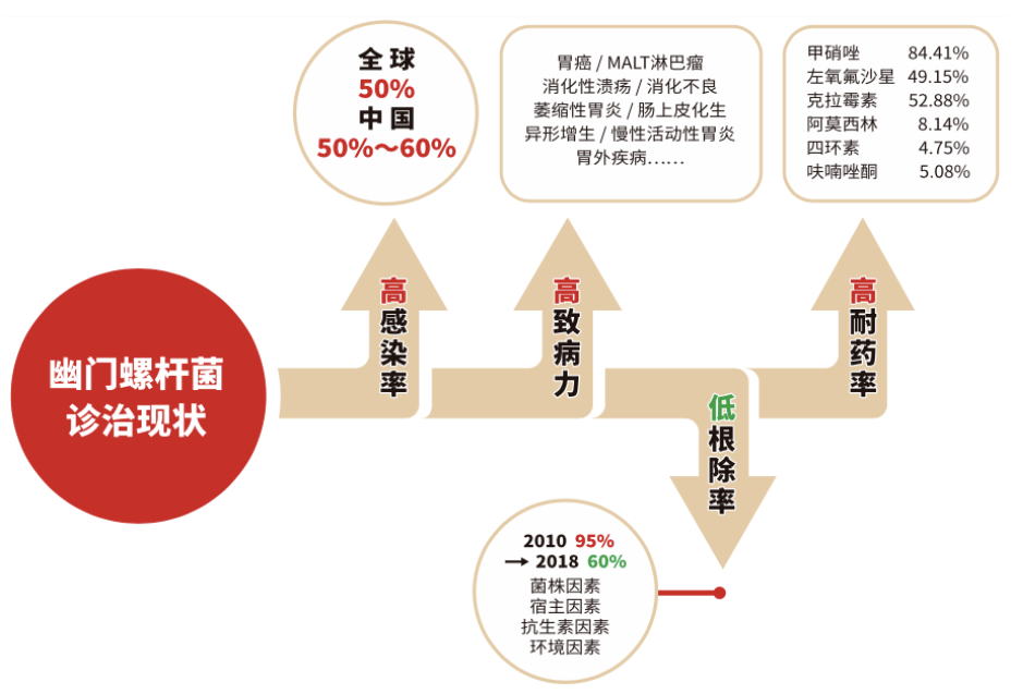 幽门螺杆菌