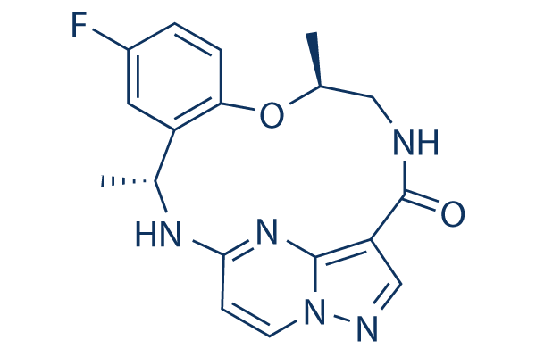 TPX-0005洛普替尼(Repotrectinib)靶向药的价格是多少？临床研究数据有哪些
