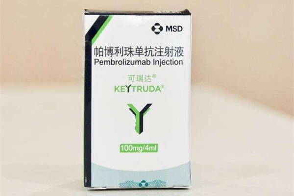 k药帕博利珠单抗效果咋样?k药一个疗程多少钱?