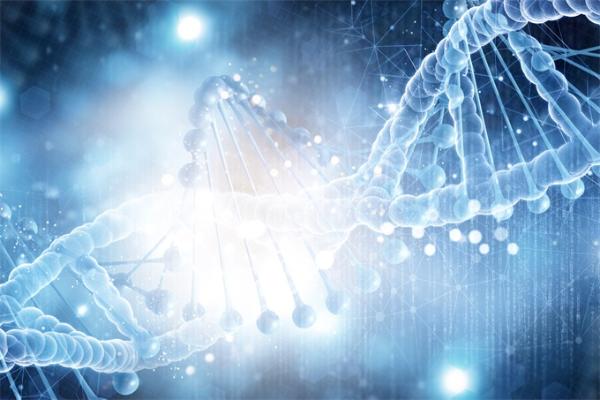 母亲基因突变brca2会遗传吗?brca2突变遗传下一代概率?