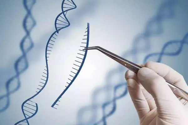 brca2基因突变是否预防切除?brca2基因突变一定会遗传吗?
